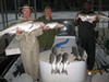 (06/15/2017) - Nice Striped Bass